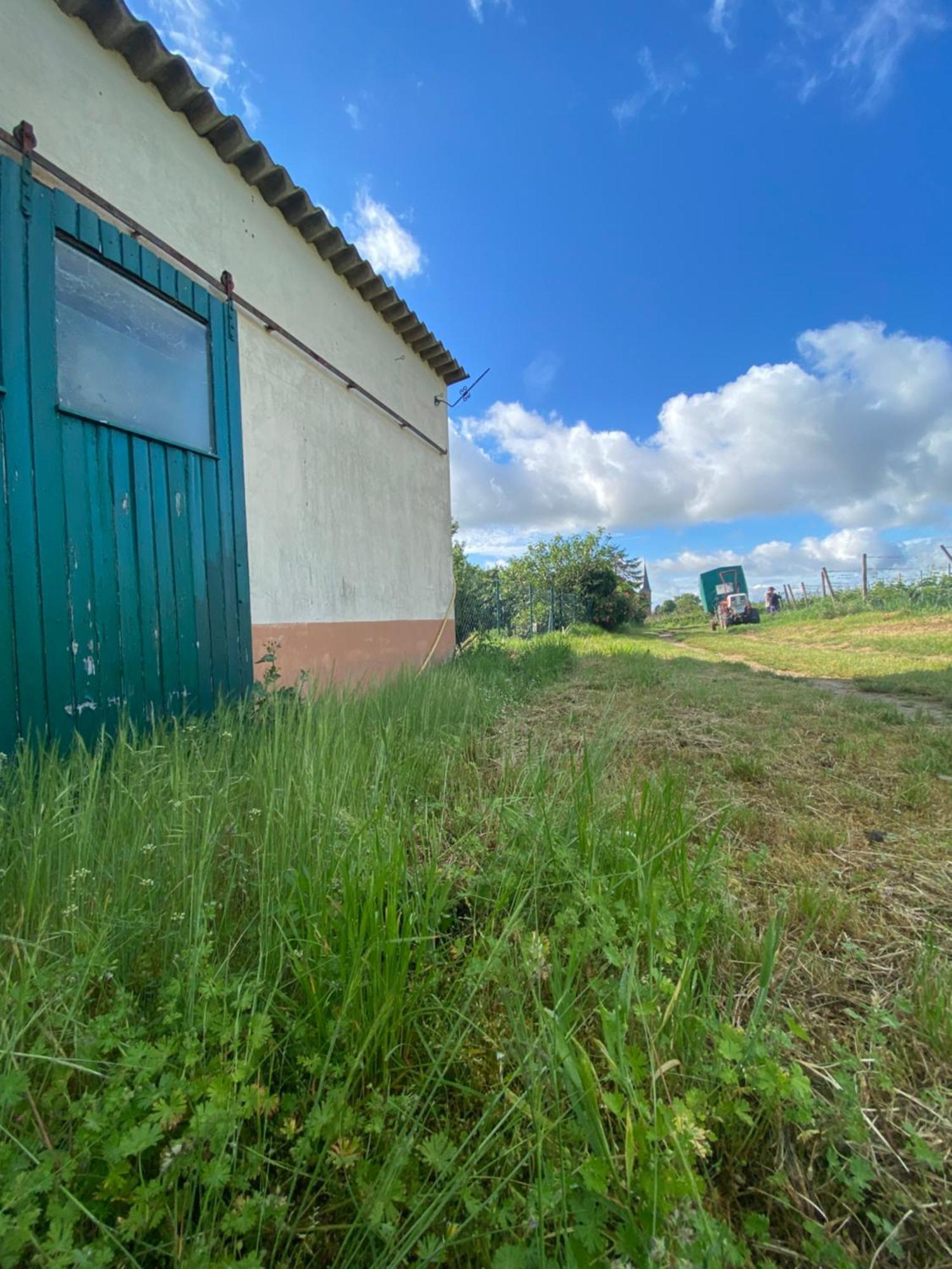 Zum Schockelgaul Gaestehaus Forst an der Weinstrasse Exterior foto